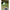 Sistem Atasare Black Cat Outrigger Float, Glow, 1buc/pac