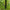 Sistem Korum Distance Marker Sticks, 50cm