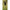 Sistem Korum Smokescreen Buoyant Ledger Boom, 2g, 7cm, 2buc/pac