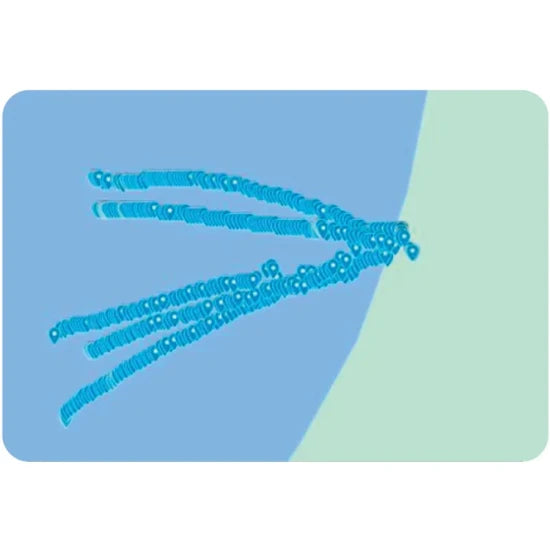 Sonar Deeper Smart Chirp+ 3.0, Fldp47