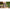 Sosete Termice Avid Carp Arctic Series Thermal, Marime 44-48, 3perechi/set