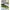 Spin Pentru Momeala Mikado Cu Conector Siliconic Method Feeder, 7mm, 12buc/plic