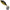 Spinnertail Duo Realis Spin 40, Cda4054 Black Gold, 4cm, 14g
