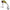 Spinnertail Formax Attach Spin Vibe , 15g, Culoare 29, 1buc/pac