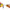 Spirala Fox Rage Strike Point Hitcher Screws, 6buc/pac