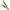Suport Feeder Attack New Grip Back Rest, Verde