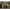 Suport Lansete Trakker Tempest Multi-rod Support, 82x4x1cm