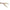Swimbait Fox Rage Pelagic Ready Rig Slick Finesse, Uv Wakasagi, 16cm, 40g