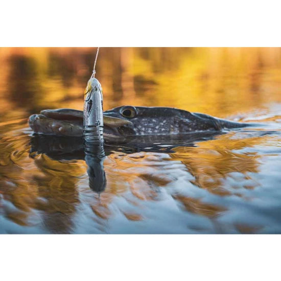 Swimbait Fox Rage Replicant Jointed - New Colours, Slick Scale, 15cm, 60g