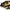 Swimbait Fox Rage Replicant Wobble, Golden Perch, 14.00cm, 55g, 1buc/pac