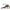 Swimbait Fox Rage Replicant Wobble, Golden Perch, 18.00cm, 80g, 1buc/pac
