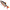 Swimbait Fox Rage Ultra Natural Replicants, 23cm, Roach, 1buc/pac