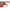 Swimbait Fox Rage Ultra Natural Replicants, 28cm, Roach, 1buc/pac