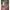Swimbait Fox Rage Replicant Jointed, Ghost Ayu Uv, 18cm/7inch, 80g