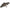 Swimbait Fox Rage Replicant Jointed Super Natural Tench 18cm