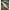 Swimbait Fox Rage Replicant Jointed, Young Perch Uv, 23cm/9inch, 130g
