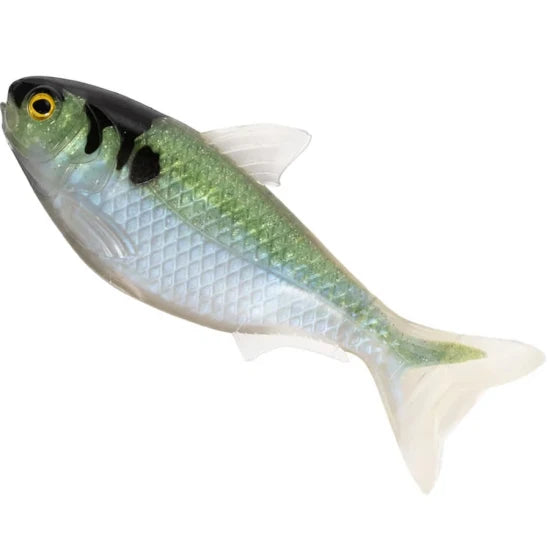 Swimbait Live Target Shad Unrigged, Blue / Green, 14cm, 14g, 2buc/pac