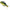 Swimbait LIVE TARGET Sunfish Unrigged, Green / Cream, 9.7cm, 3buc/pac