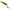 Swimbait Savage Gear 3d Burbot Shallow, Firetiger, 70g, 25cm, 1buc/pac