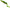 Swimbait SAVAGE GEAR 3D Burbot Shallow, Firetiger, 70g, 25cm, 1buc/pac