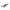 Swimbait Storm WildEye Live Shrimp Culoare TG 8cm 7g 3buc/plic