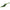 Swimbait Storm WildEye Live Shrimp Culoare WTM 6cm 4g 3buc/plic