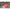 Swinger Carp Expert Multi Dynamic Swinger