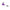 Swinger Mivardi Iluminated No 135 Purple - Mov 1 2019