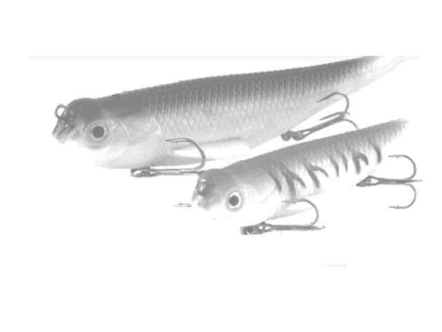T-SHAD COLMIC 12cm ALBINO