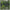 Teaser Nevis Bullet Head, 150g, Verde-galben-portocaliu, 1buc/pac