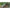 Tenda Bushmen Prelata Thermo Tarp Camo, 4mx3m