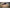 Tenda Bushmen Prelata Ultralight Dark Olive, 2mx3m