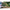 Tenda Dd Hammocks Prelata Campervan Olive Green, 2.5mx2.5m