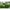Tenda DD Hammocks Prelata Olive Green, 3mx3m