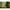 Tenda S DD Hammocks Prelata Olive Green, 280x150cm