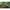Tenda XL DD Hammocks Prelata Camo, 450x300cm