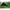Tenda XL DDHammocks Prelata Olive Green, 450x300cm