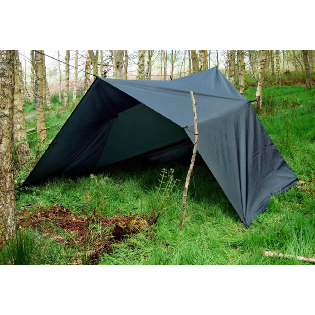 Tenda XL DDHammocks Prelata Olive Green, 450x300cm
