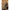 Tija Interschimbabila Matrix Small Swivel Feeder Stems X2