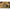 Tija Interschimbabila Matrix Small Swivel Feeder Stems X2