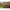 Tricou Fox Rage Voyager Camo T, Marime S