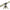Tripod Zfish Select 3 Rods