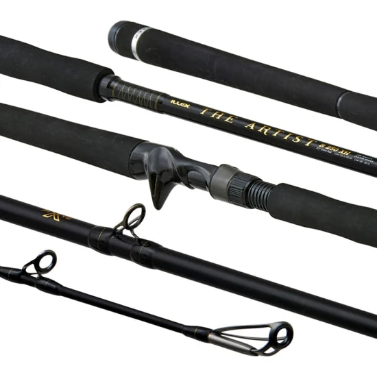 Tronson Illes Artist X5 S 2402mh Dark Elf, Sectiune 1