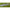 Tronson Preston Superium Extension X 5/6 Ext (15/25)