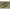 Umbrela Tip Cort Pro Fl Diametru 300cm Culoare Verde Cu Inchidere Totala