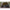 Umbrela Cort Korum Supa Lite Overnight Brolly Shelter