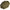 Umbrela Zebco Olive Green Brolly, 220cm