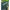 Umbrela Zebco Storm Umbrella, 2.50m