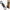 VARTEJ KRYSTON CARP SWIVEL 7 Black