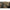 Vesta Prologic Thermo Bank Bound Camo Marime M